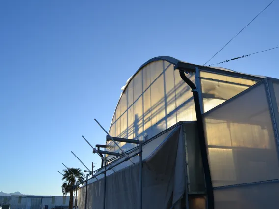 Exterior view of greenhouses at the Controlled Environment Agriculture Center