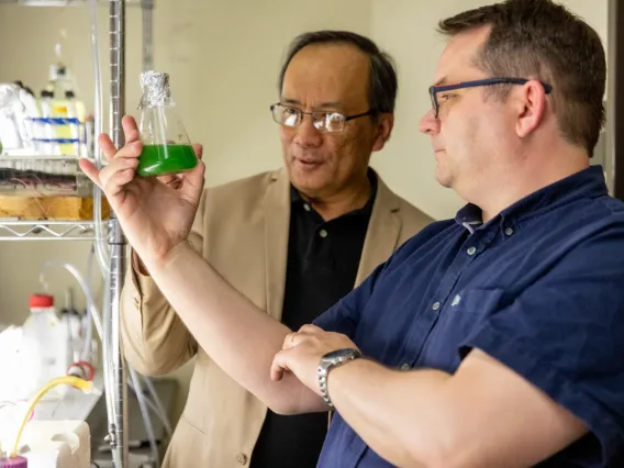 Picture of Daniel Apai and Joel Cuello looking at algae