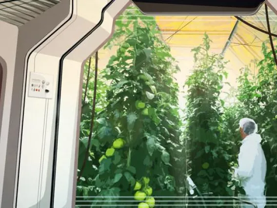 Artist’s rendition of UbiQD’s quantum dot-enabled greenhouse film, UbiGro™, installed in a lunar greenhouse growing tomatoes.