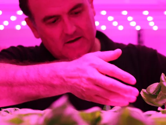 Murat Kacira works in the UAg Vertical Farm