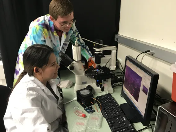 Students at work in the Yoon lab.