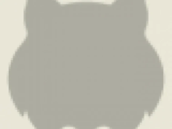 Wildcat