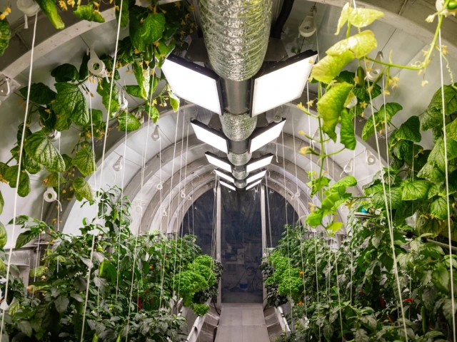 Mars-Lunar Greenhouse