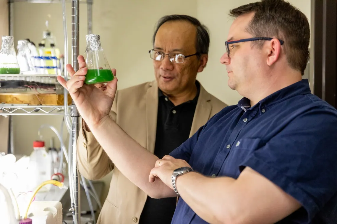 Picture of Daniel Apai and Joel Cuello looking at algae