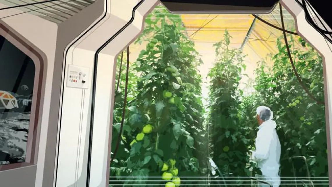 Artist’s rendition of UbiQD’s quantum dot-enabled greenhouse film, UbiGro™, installed in a lunar greenhouse growing tomatoes.