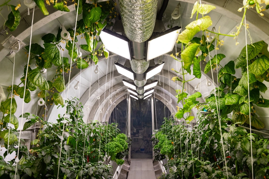 Mars-Lunar Greenhouse