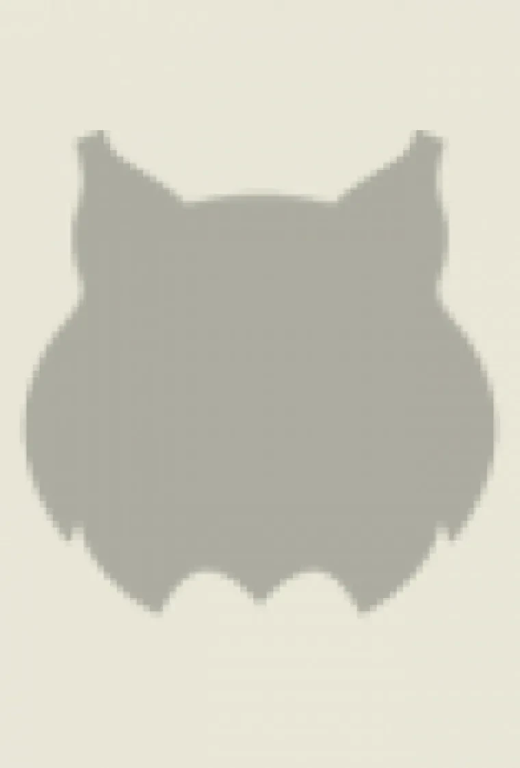 Wildcat