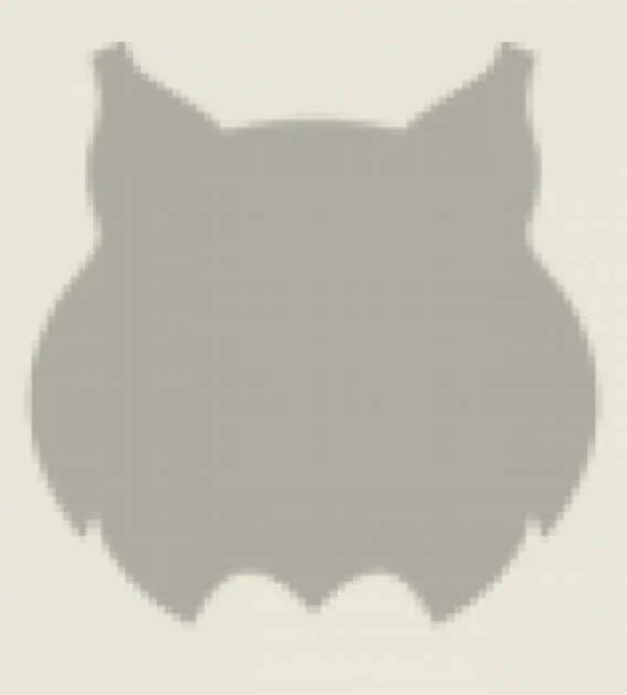 Wildcat